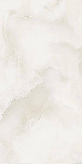 256 MONACO 60X120