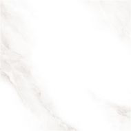 2573 Shine grey Polished 60x60
