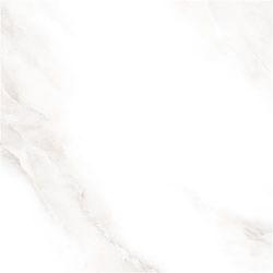 2573 Shine grey Polished 60x60