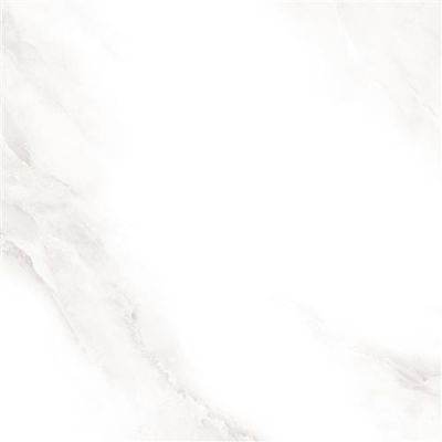 2573 Shine grey Polished 60x60