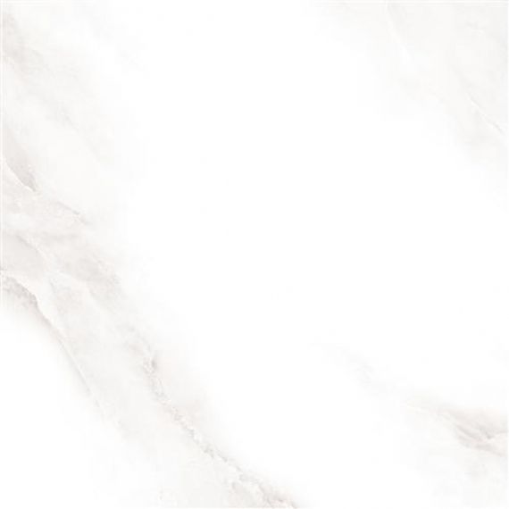 2573 Shine grey Polished 60x60