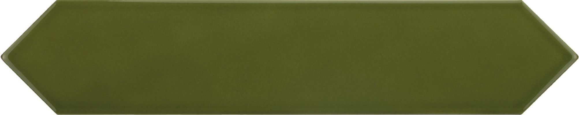 25827 Arrow Green Kelp 5x25