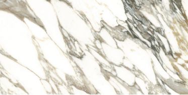 25922 MACCHIA VECCHIA/75,5X151/EP