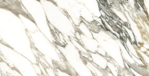 25922 MACCHIA VECCHIA/75,5X151/EP
