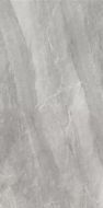 2613 Earth Dark Grey polish 60x120