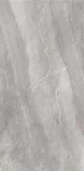 2613 Earth Dark Grey polish 60x120