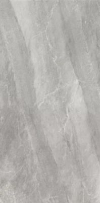 2613 Earth Dark Grey polish 60x120