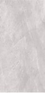 2614 Earth Light grey polish 60x120