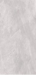 2614 Earth Light grey polish 60x120