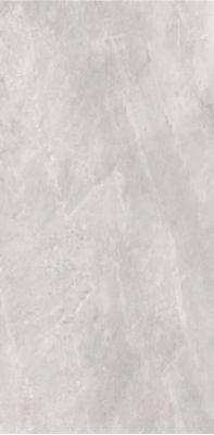 2614 Earth Light grey polish 60x120