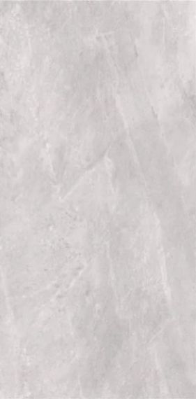 2614 Earth Light grey polish 60x120