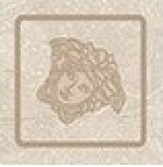 262581 Tozzettо Crema Marfil 4х4