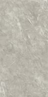2666 Nismo Grey polish 60x120