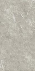 2666 Nismo Grey polish 60x120