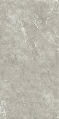 2666 Nismo Grey polish 60x120