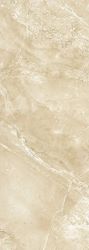 271 BCU3BG BARCELONA темная 24.5x69.5