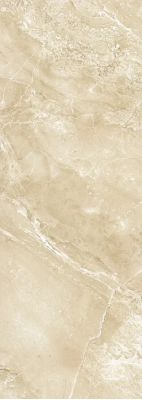 271 BCU3BG BARCELONA темная 24.5x69.5