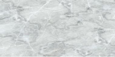2740 Davinci Light Gray 60x120