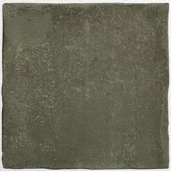 27577 Argile Khaki 10х10