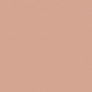 27681 BAUHOME ROSE 20x20