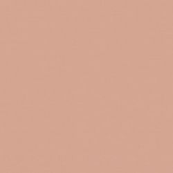 27681 BAUHOME ROSE 20x20