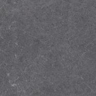 28486 Pav. Alpine anth as 60*60