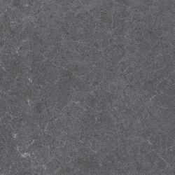 28486 Pav. Alpine anth as 60*60