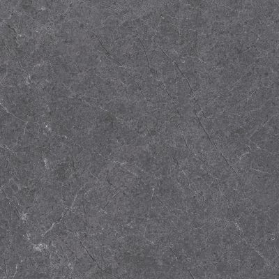 28486 Pav. Alpine anth as 60*60