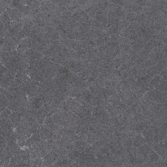 28486 Pav. Alpine anth as 60*60