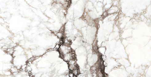 28567 BRECCIA WHITE NT/75,5X151/R