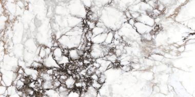 28568 BRECCIA WHITE NT/60X120/R