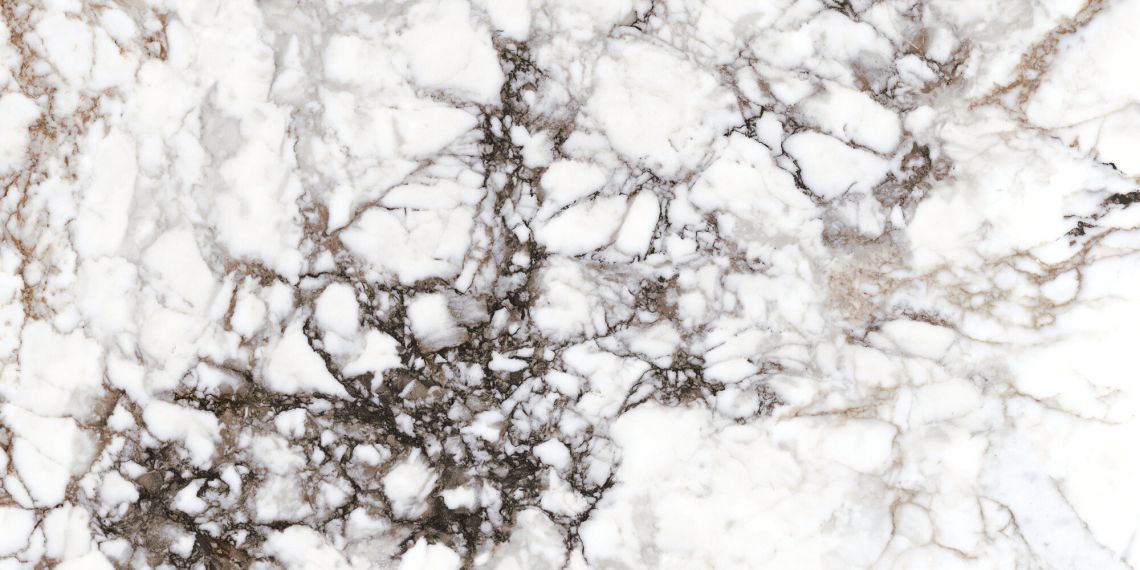 28568 BRECCIA WHITE NT/60X120/R