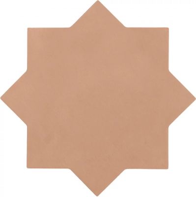 29075 Kasbah Star Terracota 16,8x16,8