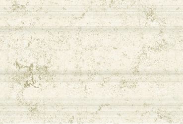 290 Плитка Цоколь Anika Natural 19x30