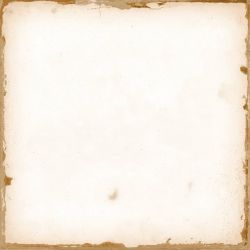 29422 CASABLANCA WHITE 12,5x12,5