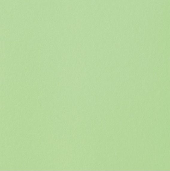 2I07 Greencolors Menta Grip 20x20