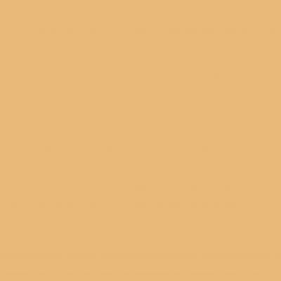 30-10-4-15-00-33-4228 Керамогранит Poly Mustard 20х20