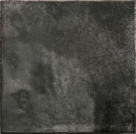 30011 Black Ash 10х10