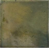 30014 Wild Olive 10х10