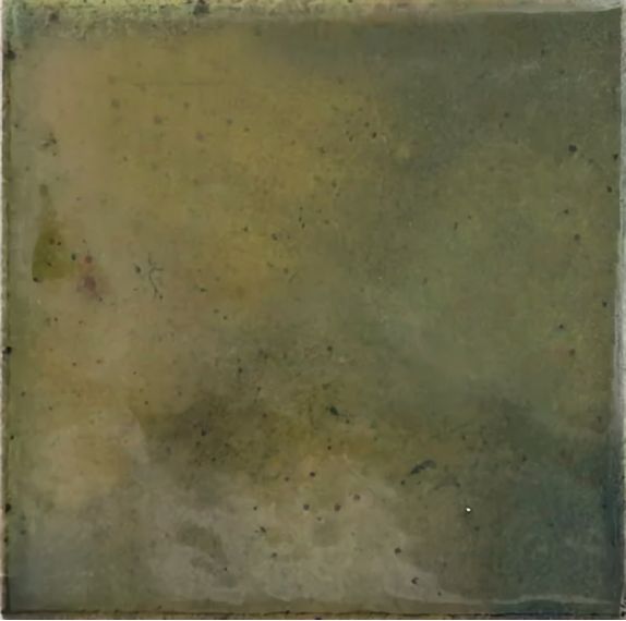 30014 Wild Olive 10х10