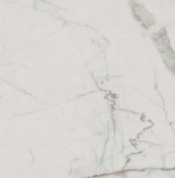 302861 Supreme Calacatta Rett 60x60