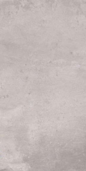 303645 Gare Light Grey 60x120