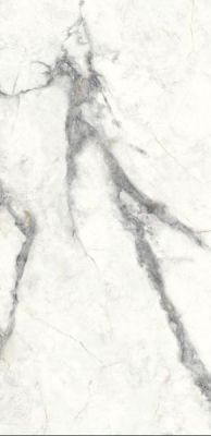 304028 Charme Invisible Grey 60x120