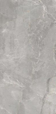 304040 Charme Grey 60x120
