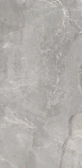 304040 Charme Grey 60x120