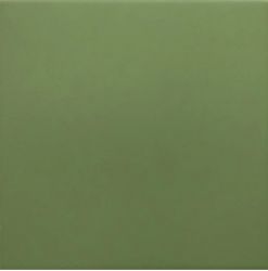 30716 Керамогранит Rivoli Green 20x20