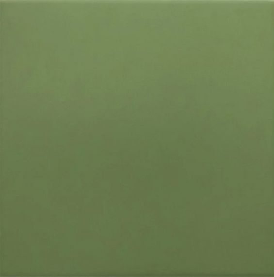 30716 Керамогранит Rivoli Green 20x20