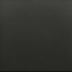 30720 Керамогранит Rivoli Black 20x20