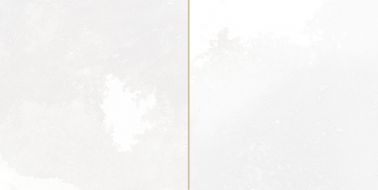 30896 FS Tradition Square White 20x40