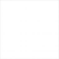 31087 TANGER PLAIN R9 12.3x12.3